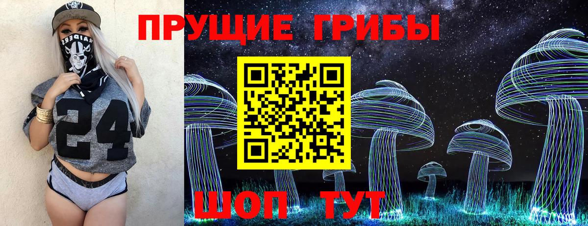 Галлюциногенные грибы прущие грибы Солнечногорск
